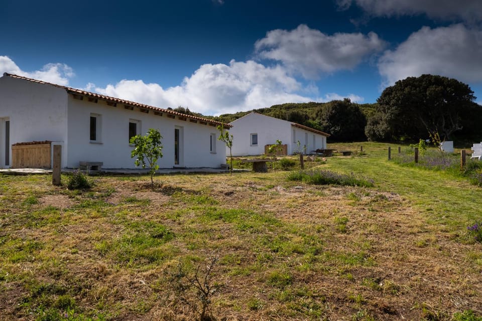 Property building, Day, Garden, Garden, Garden view