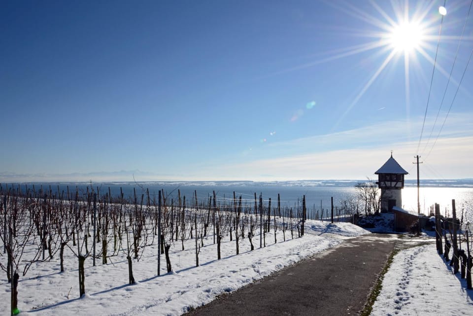 Nearby landmark, Area and facilities