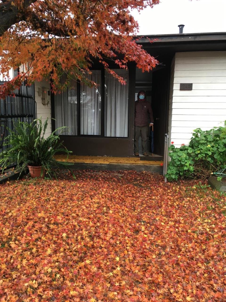 Property building, Garden view