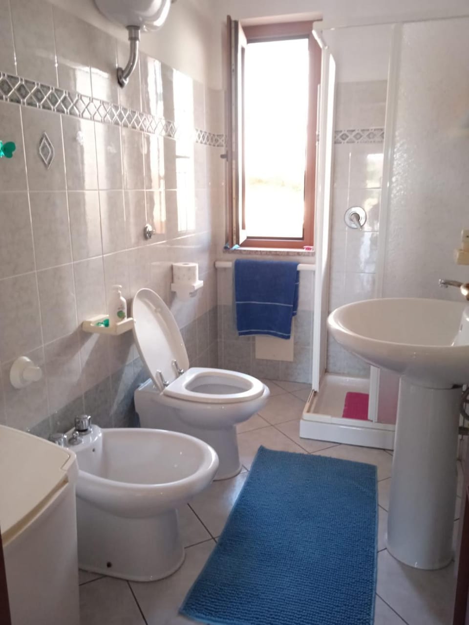 Toilet, Bathroom, bidet