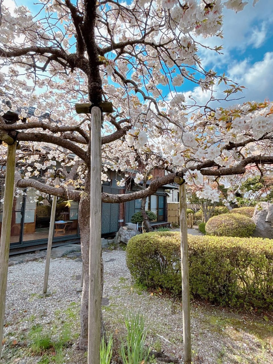 Garden view