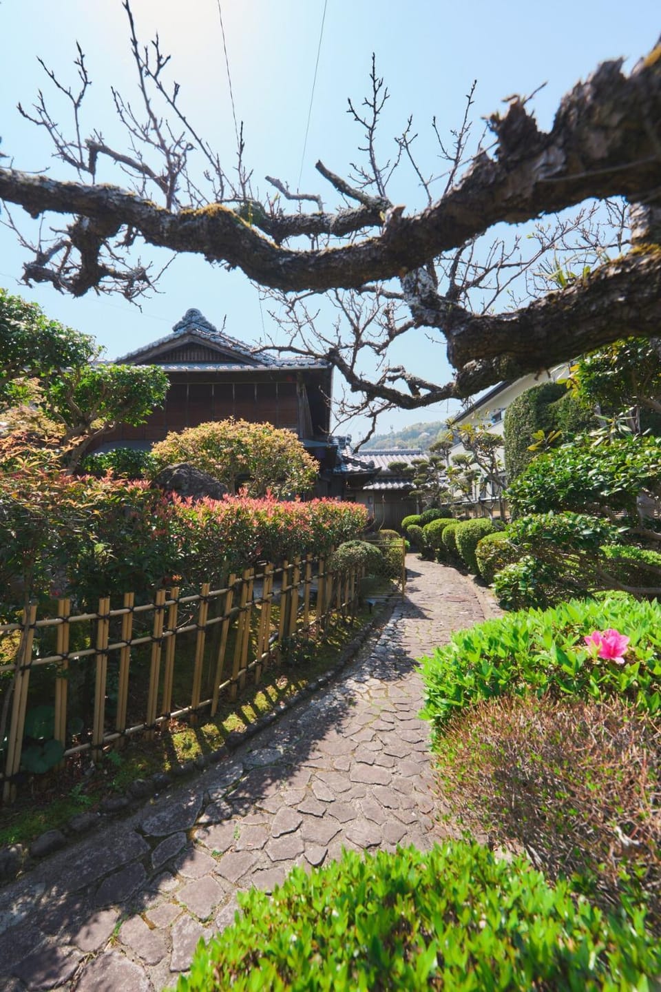 Spring, Day, Natural landscape, Garden, Garden view