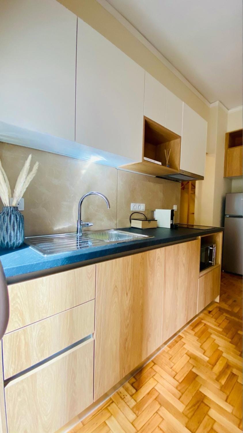 Ilisia mini suite Apartment in Athens