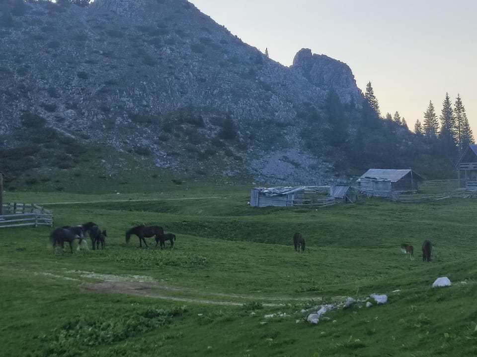 Etno katun Mokra 1 Apartment in Montenegro