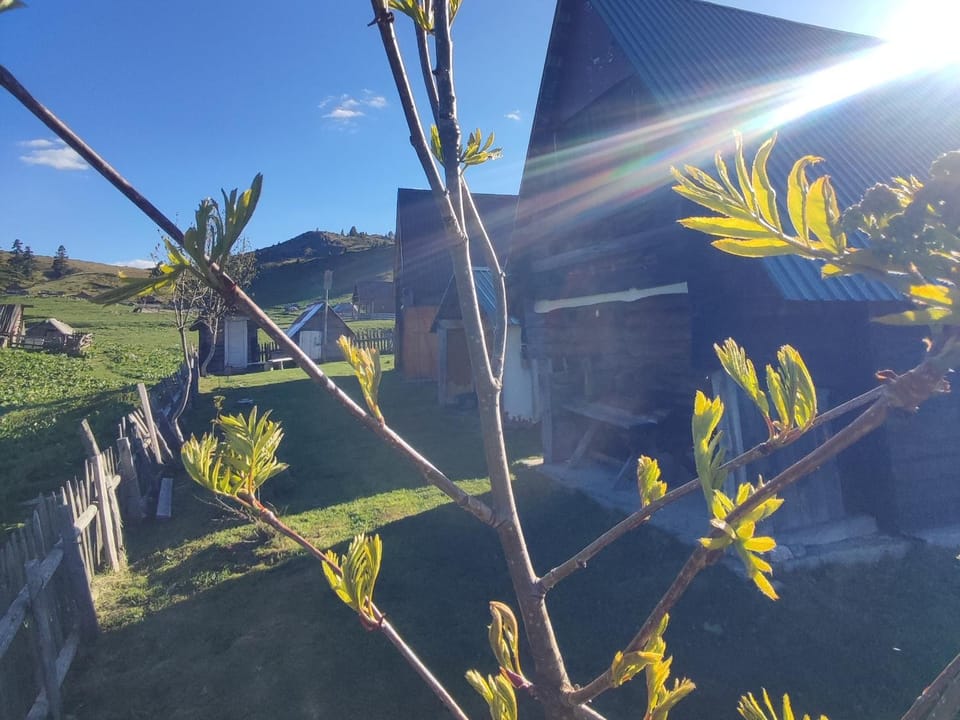 Etno katun Mokra 1 Apartment in Montenegro