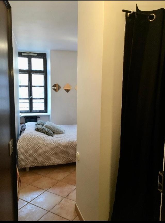 Annecy, studio Cosy - 8 rue carnot Apartment in Annecy