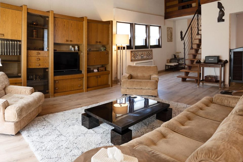 TV and multimedia, Living room, Seating area, heating, heating, internet, internet, pet friendly, air conditioner, air conditioner