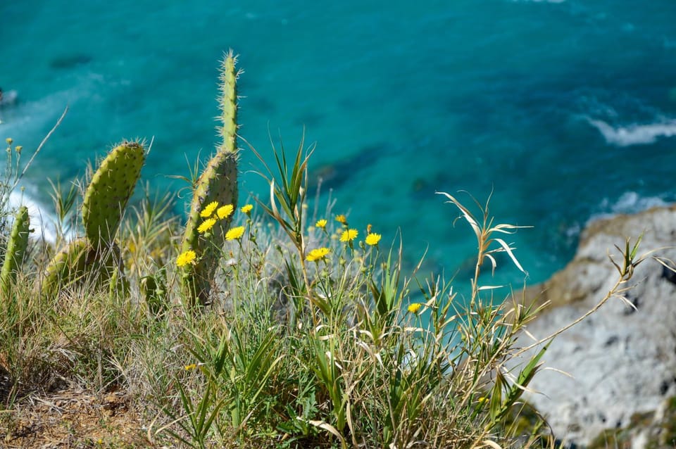 Day, Natural landscape, Sea view