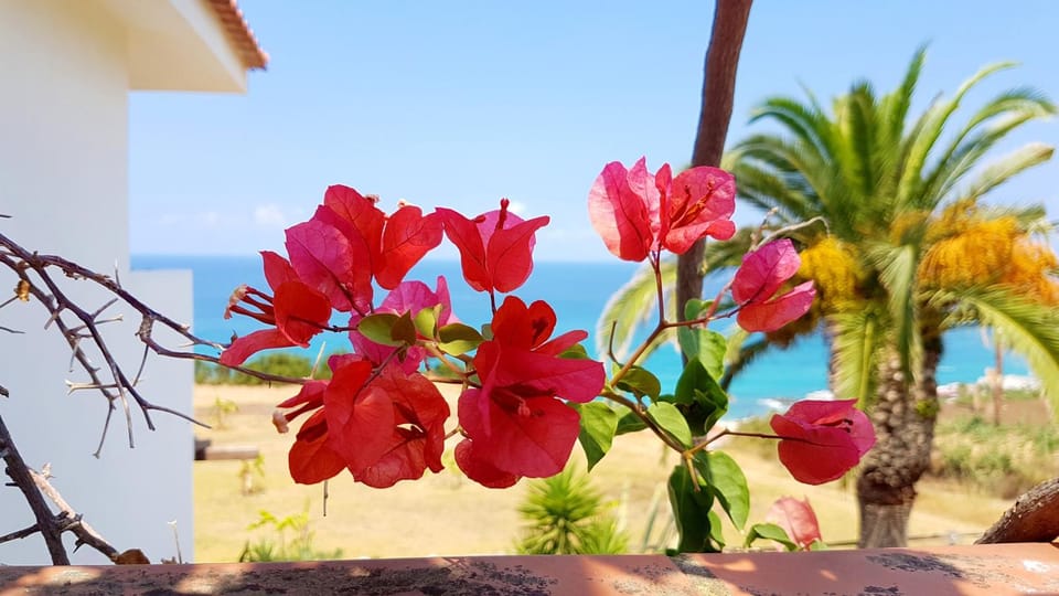 Day, Natural landscape, Garden view, Sea view
