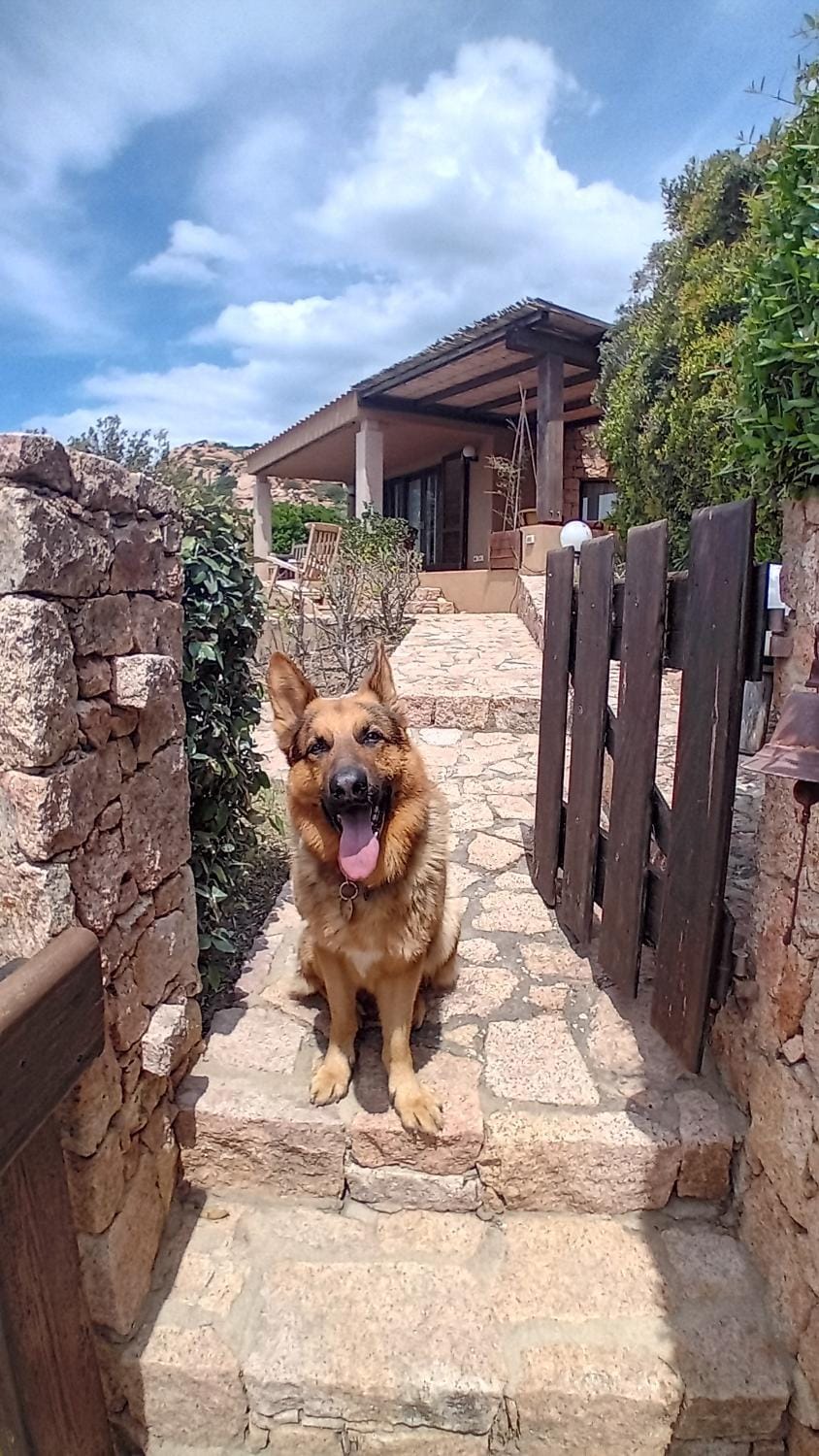 Villa Felice Villa in Sardinia