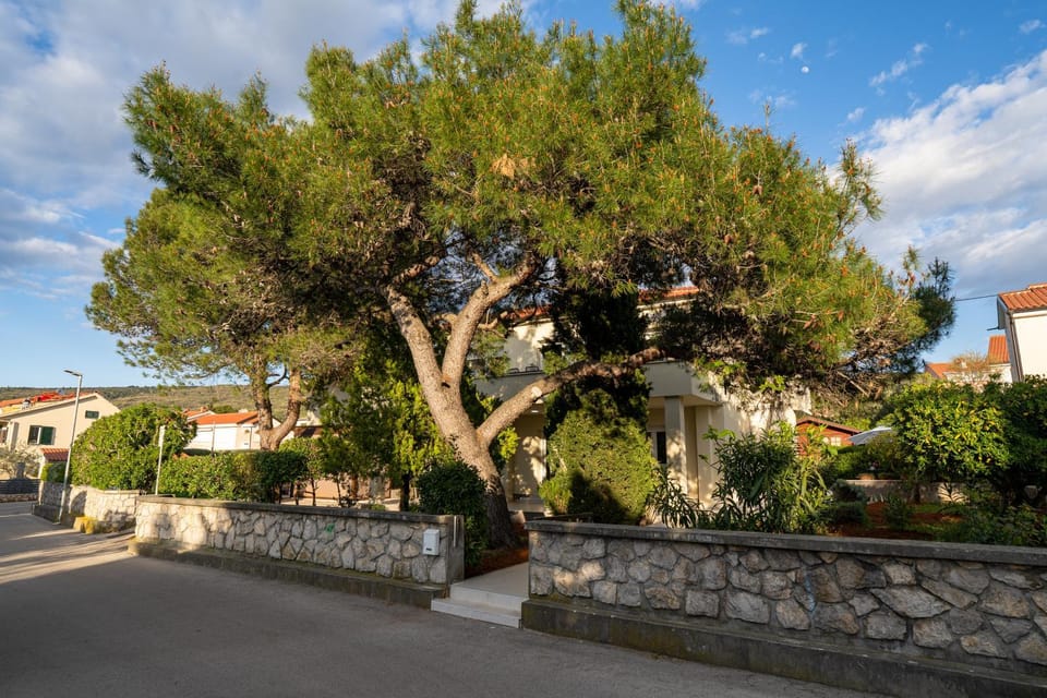Property building, Day, Garden, Garden view, Street view