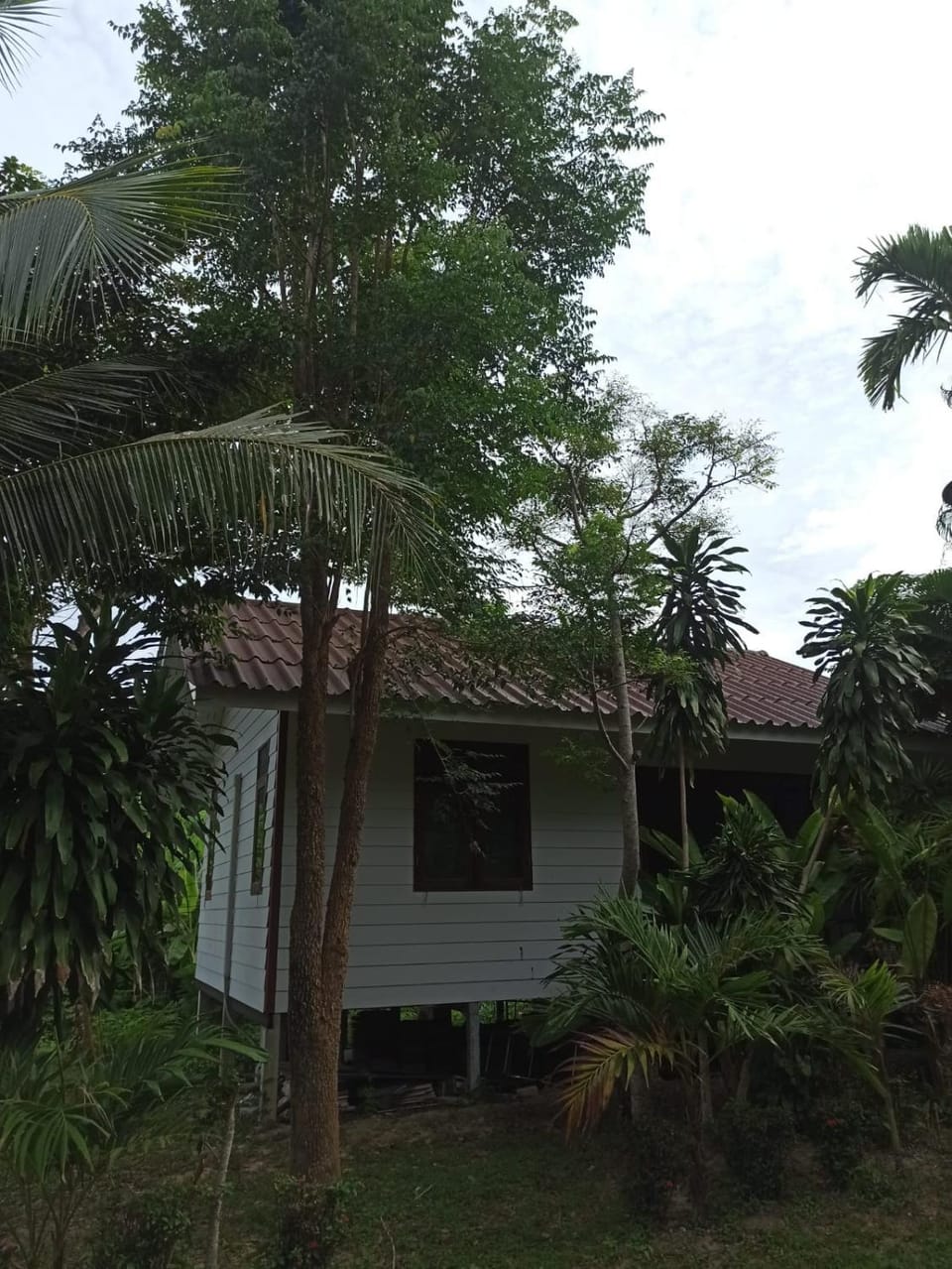 Seagull Villa Villa in Sala Dan