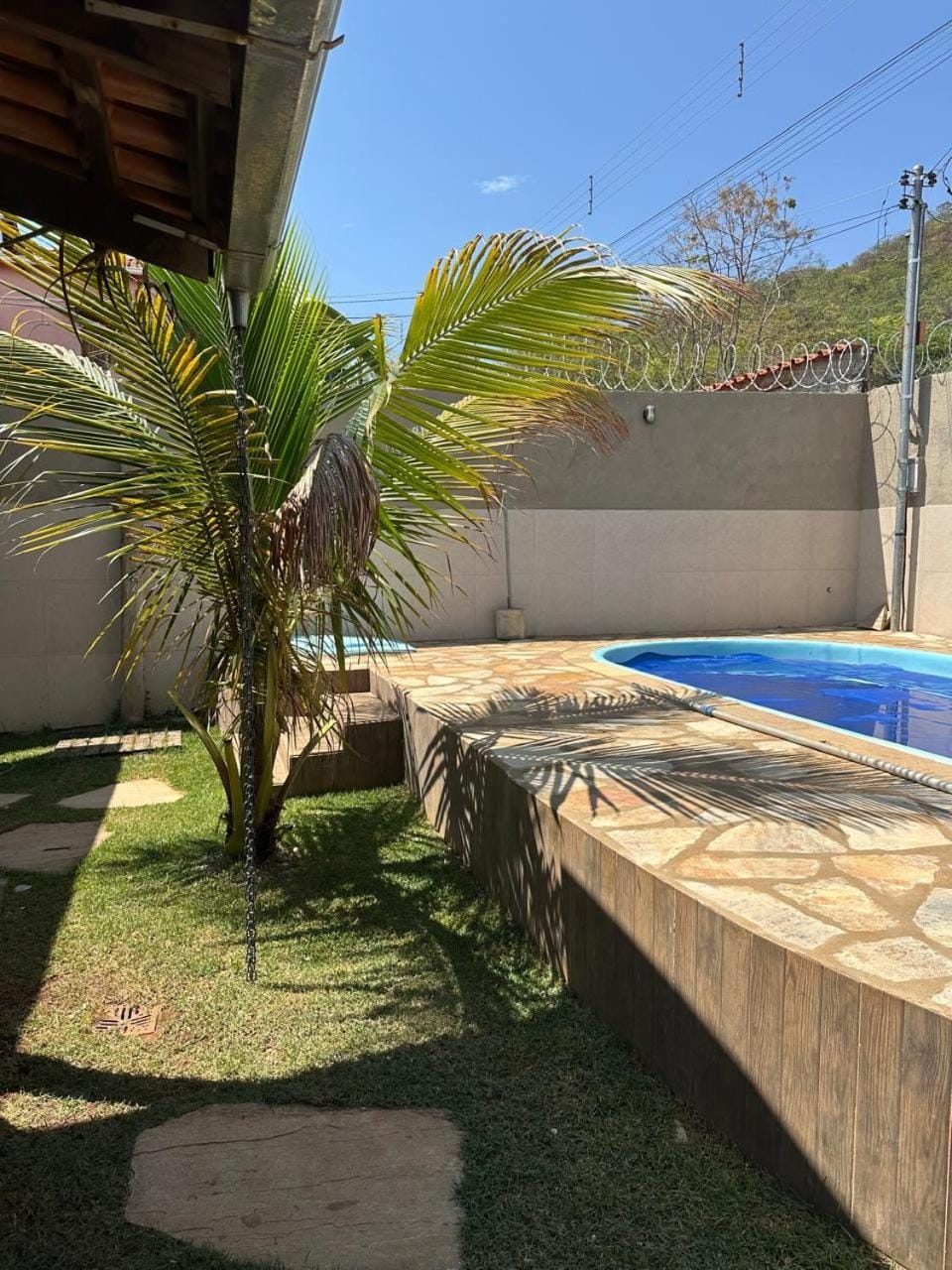 Day, Garden, Pool view, Swimming pool
