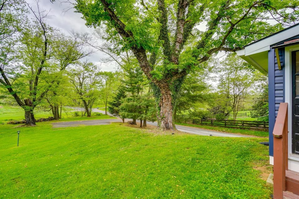 Hike, Sip & Explore: Charming Waterford Cottage! House in Waterford