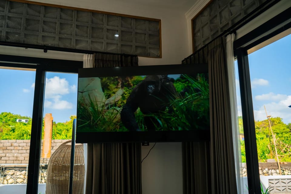 Communal lounge/ TV room, TV and multimedia, Evening entertainment