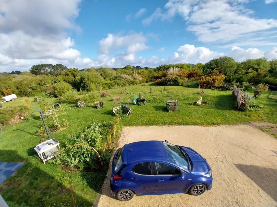 Garden view