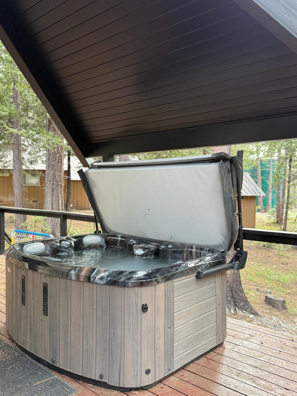 Modern Mountain Luxury Soak, Stay, & Be Spoiled House in Shaver Lake