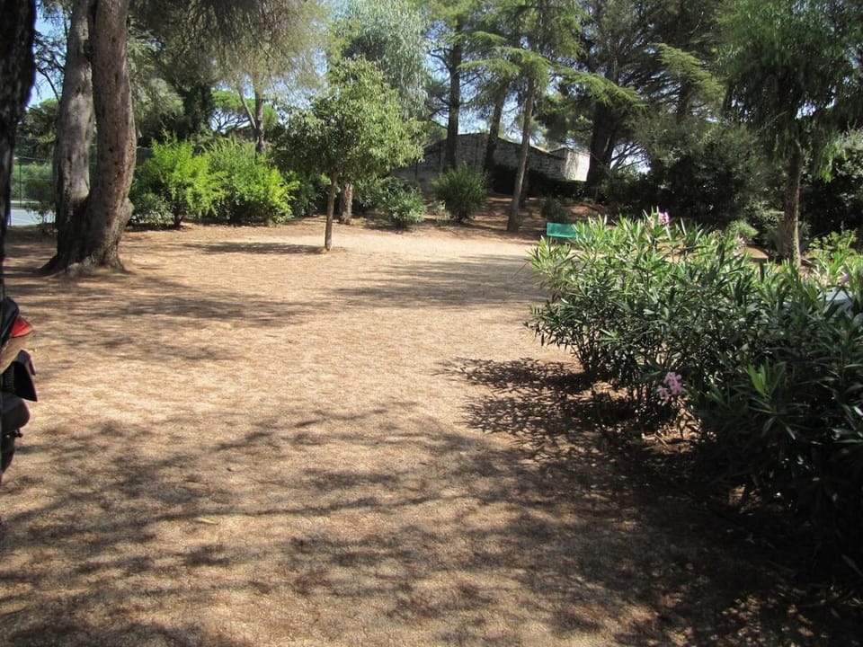 Garden, Garden view