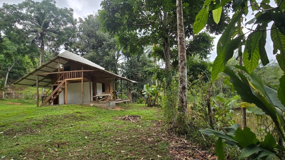 Property building, Natural landscape, Garden, River view