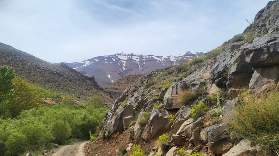 Gite d'étape La terre Amazigh Bed and Breakfast in Morocco