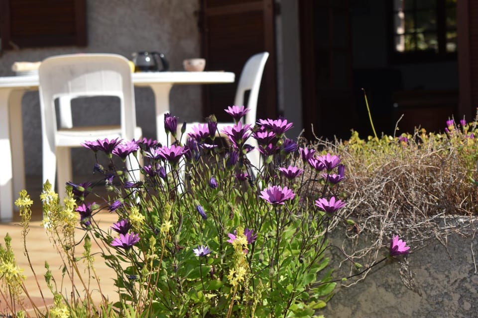 Petite maison provençale pour 4 personnes House in Bormes-les-Mimosas