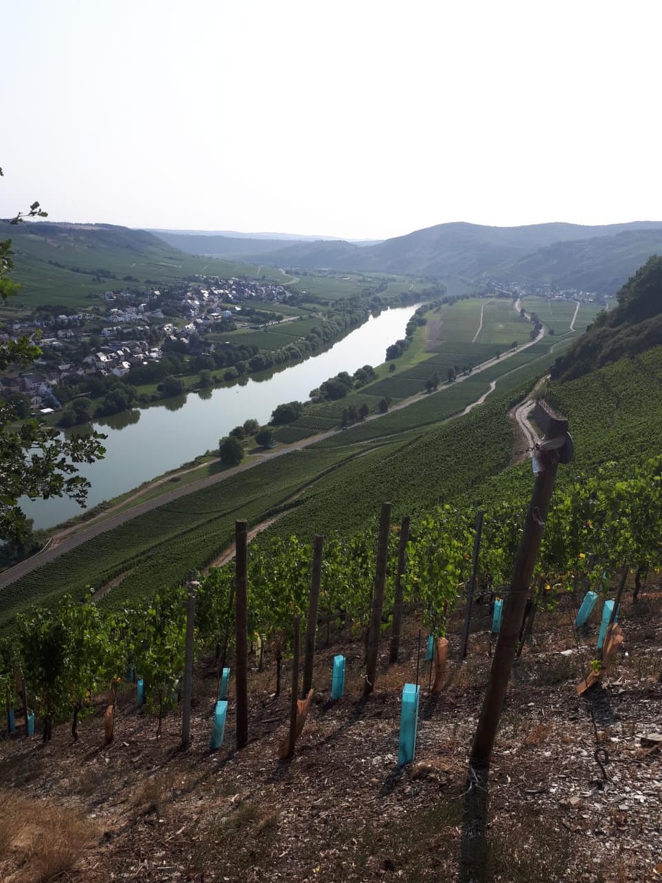 Day, View (from property/room), Mountain view, River view