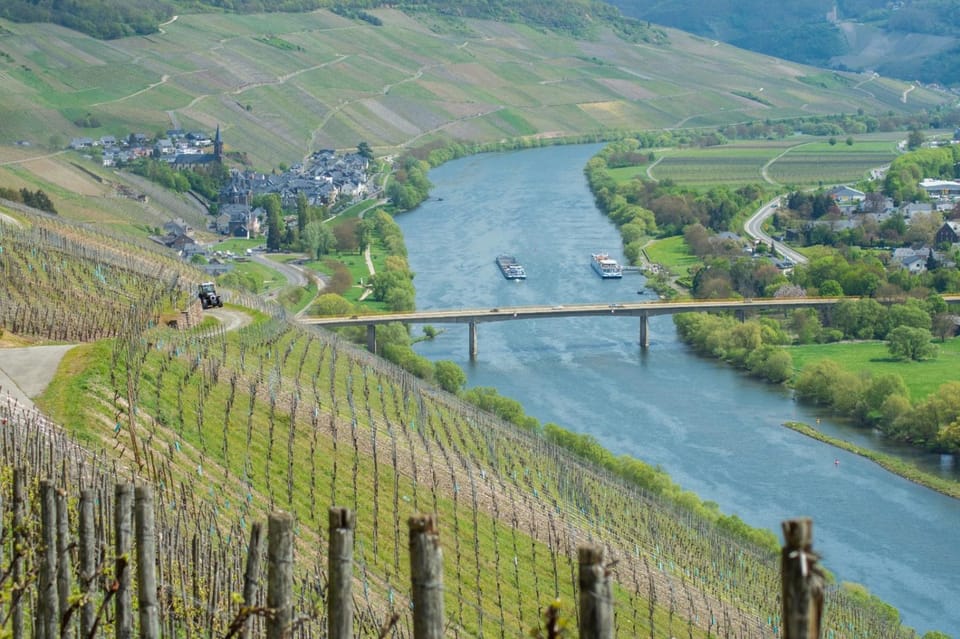 View (from property/room)