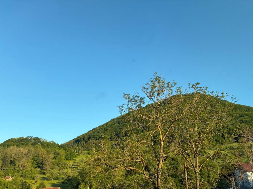 Spring, Day, Natural landscape, Mountain view