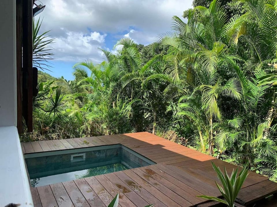 Natural landscape, Garden, Garden view, Pool view, Swimming pool