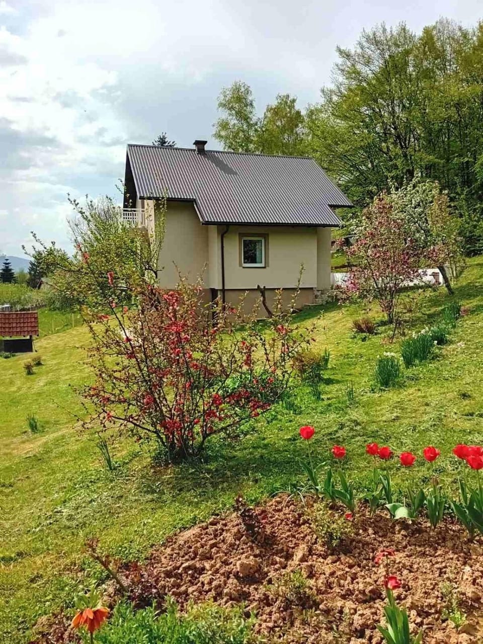 Property building, Spring, Day, Natural landscape, Garden, Garden, Garden view