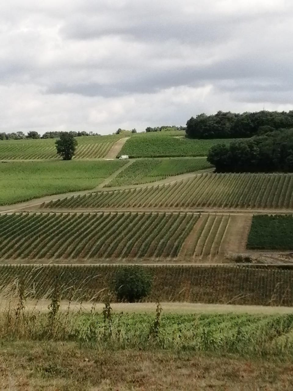 Chez nathalie et flavien House in Bourgogne-Franche-Comté