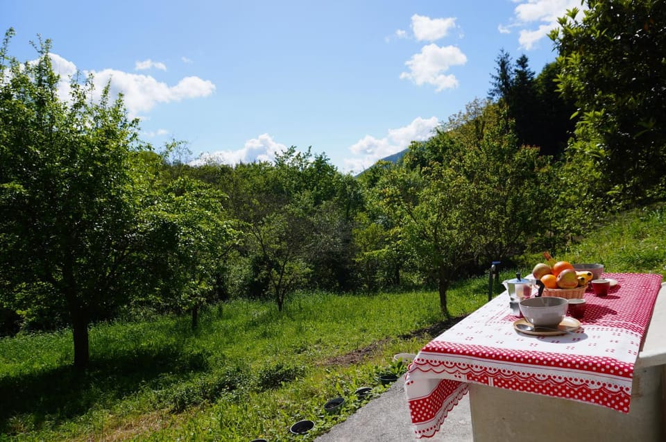 Natural landscape, Garden, Garden, Garden view, Breakfast