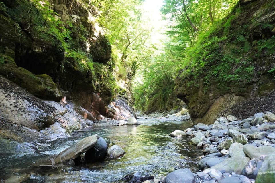 River view