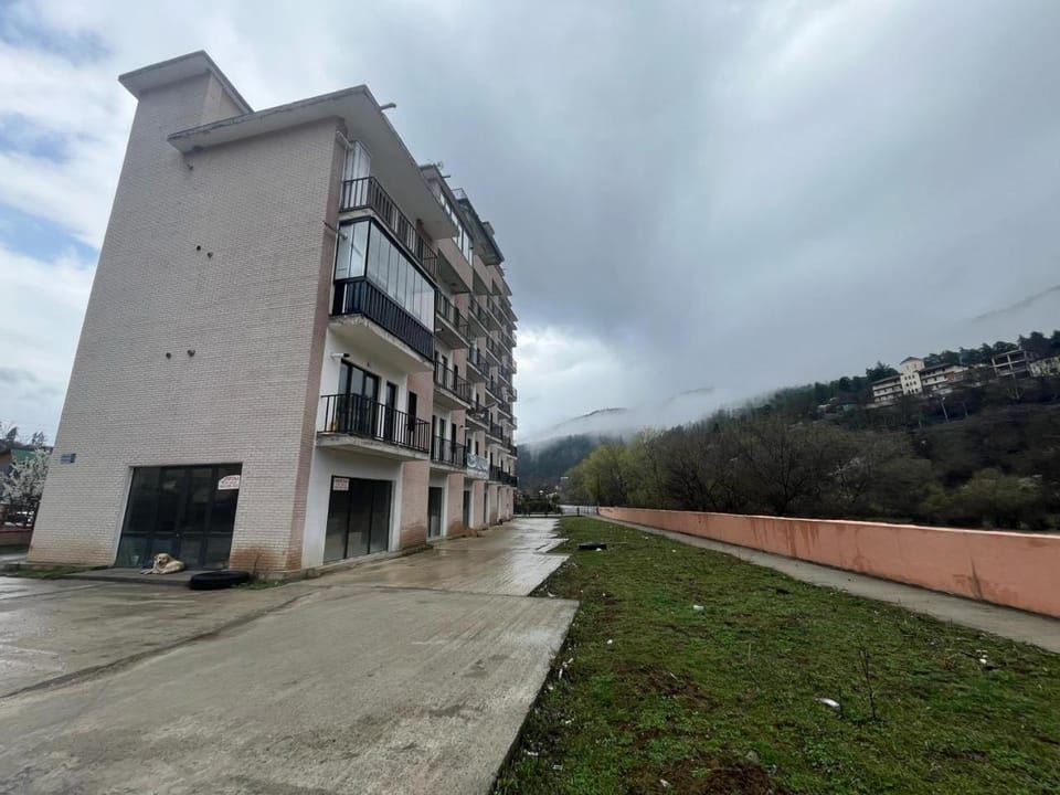 Borjomi house Robakidzis 5g Borjomis national park Borjomis cultural monuments Apartment in Georgia