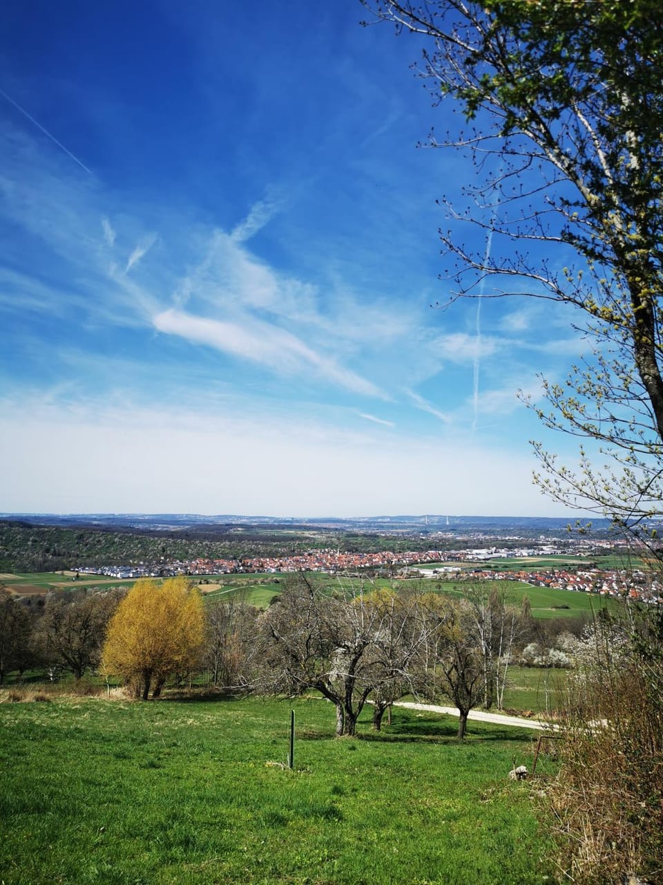 Natural landscape, Garden, View (from property/room)