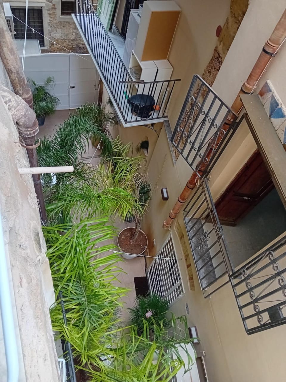 Garden view