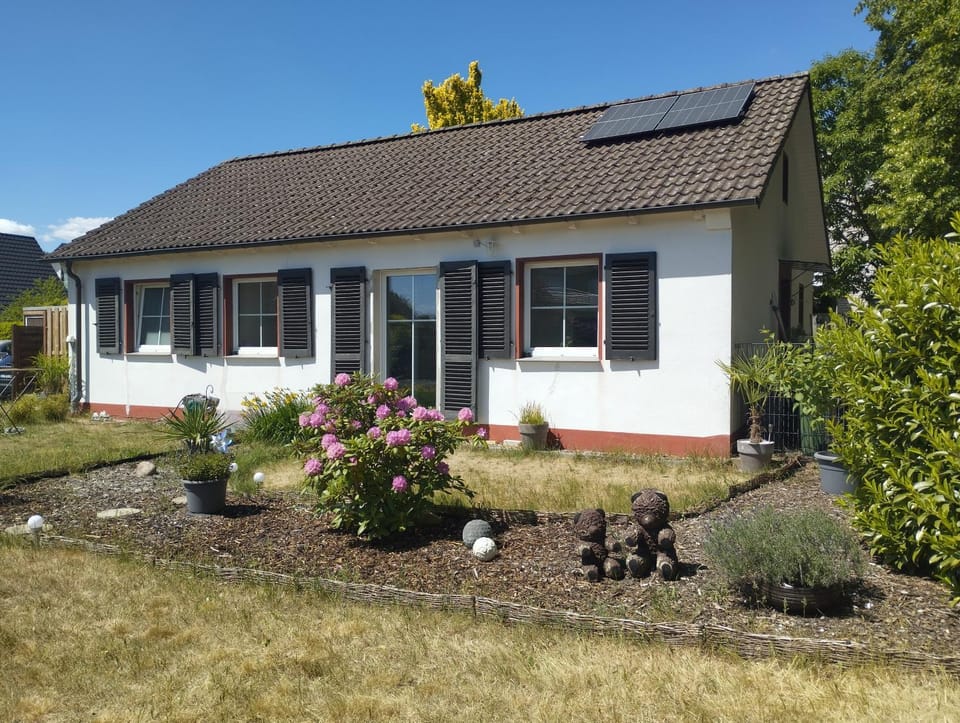 Property building, Garden