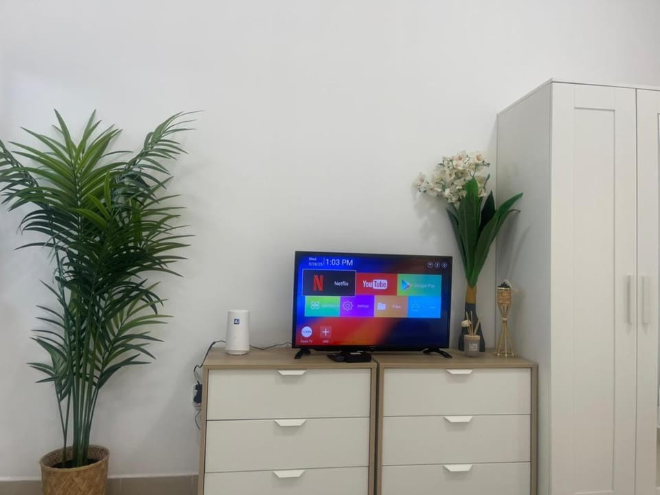 TV and multimedia