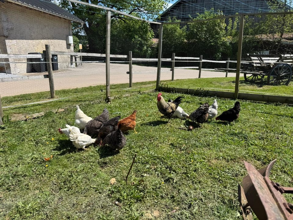 Garden, Garden