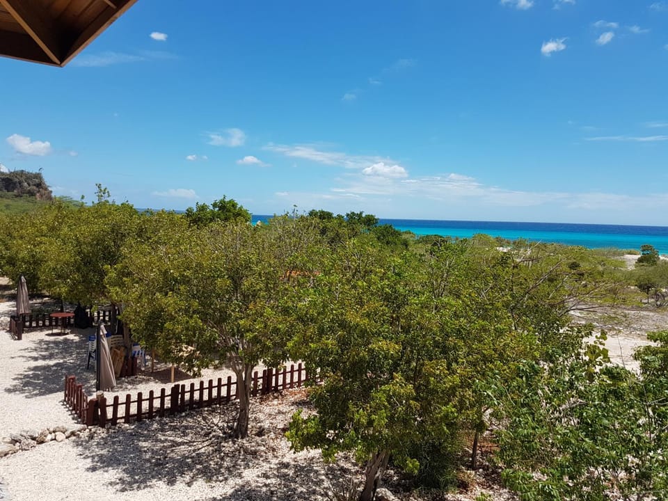 Beach, Sea view