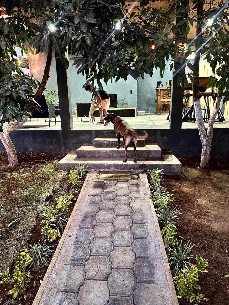 Bosque escondido House in State of Mexico