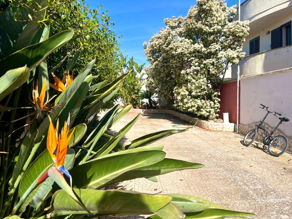 Day, Garden, Garden view