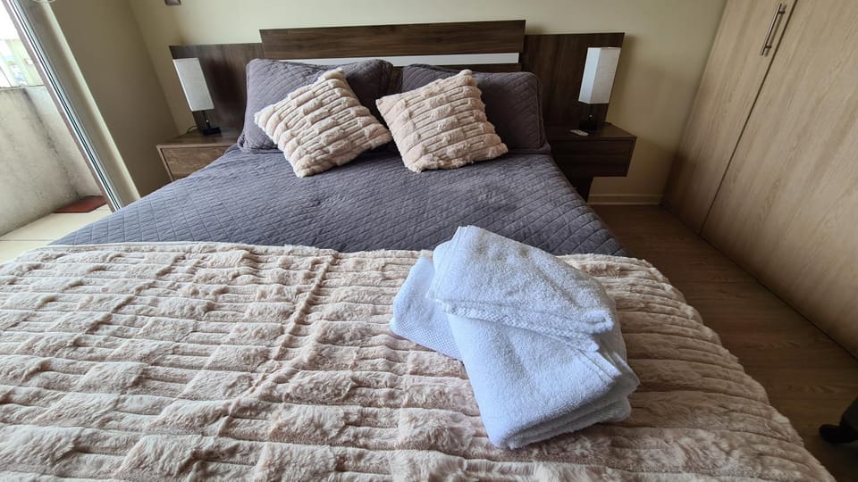 Departamento Estudio Central Apartment in Temuco