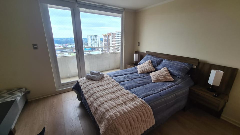 Departamento Estudio Central Apartment in Temuco