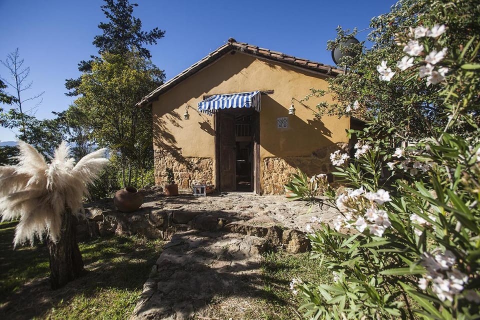 Patio, Garden, Lobby or reception