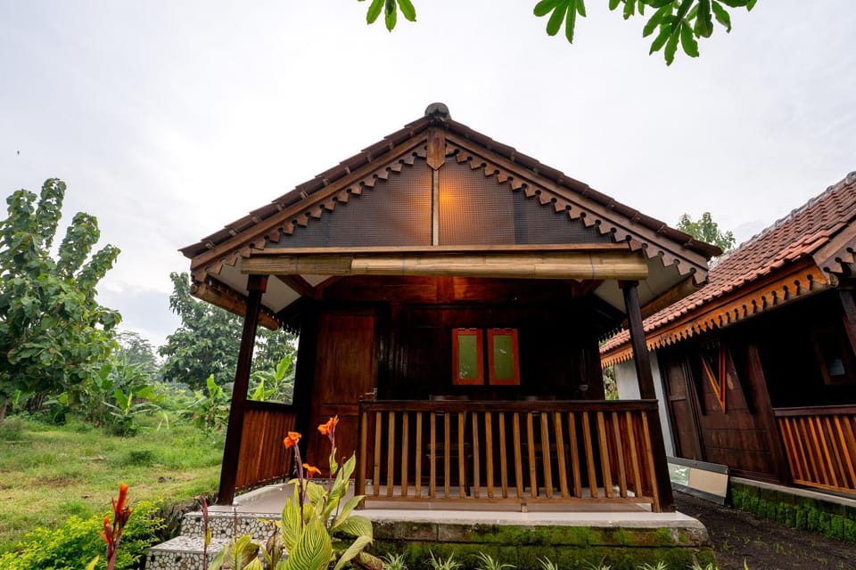 Property building, Spring, Day, Garden view