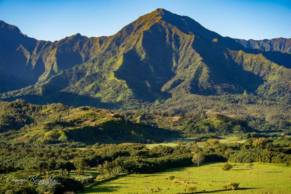 Mountain view