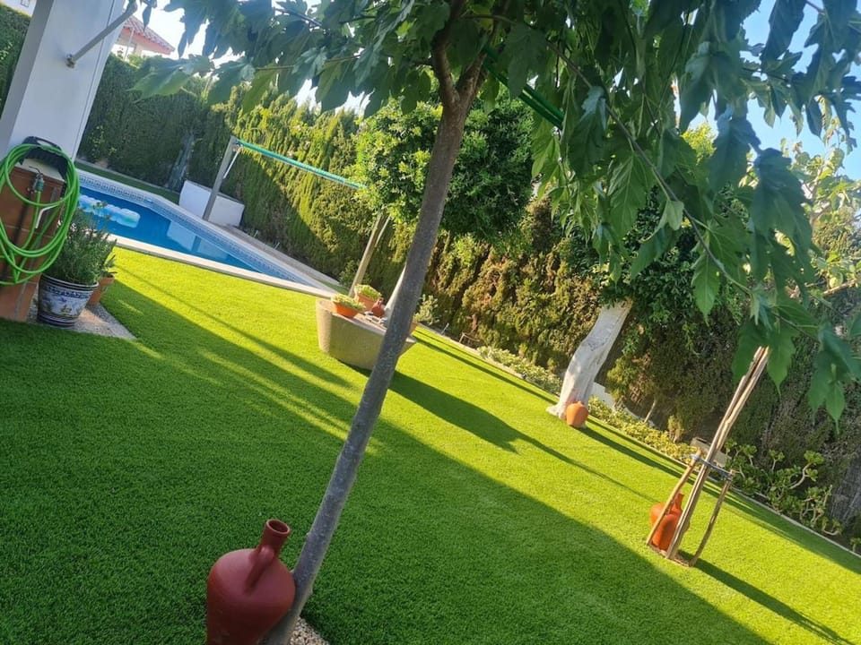 Garden, Swimming pool