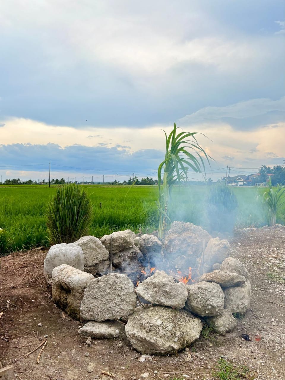 Day, Natural landscape, BBQ facilities, Garden