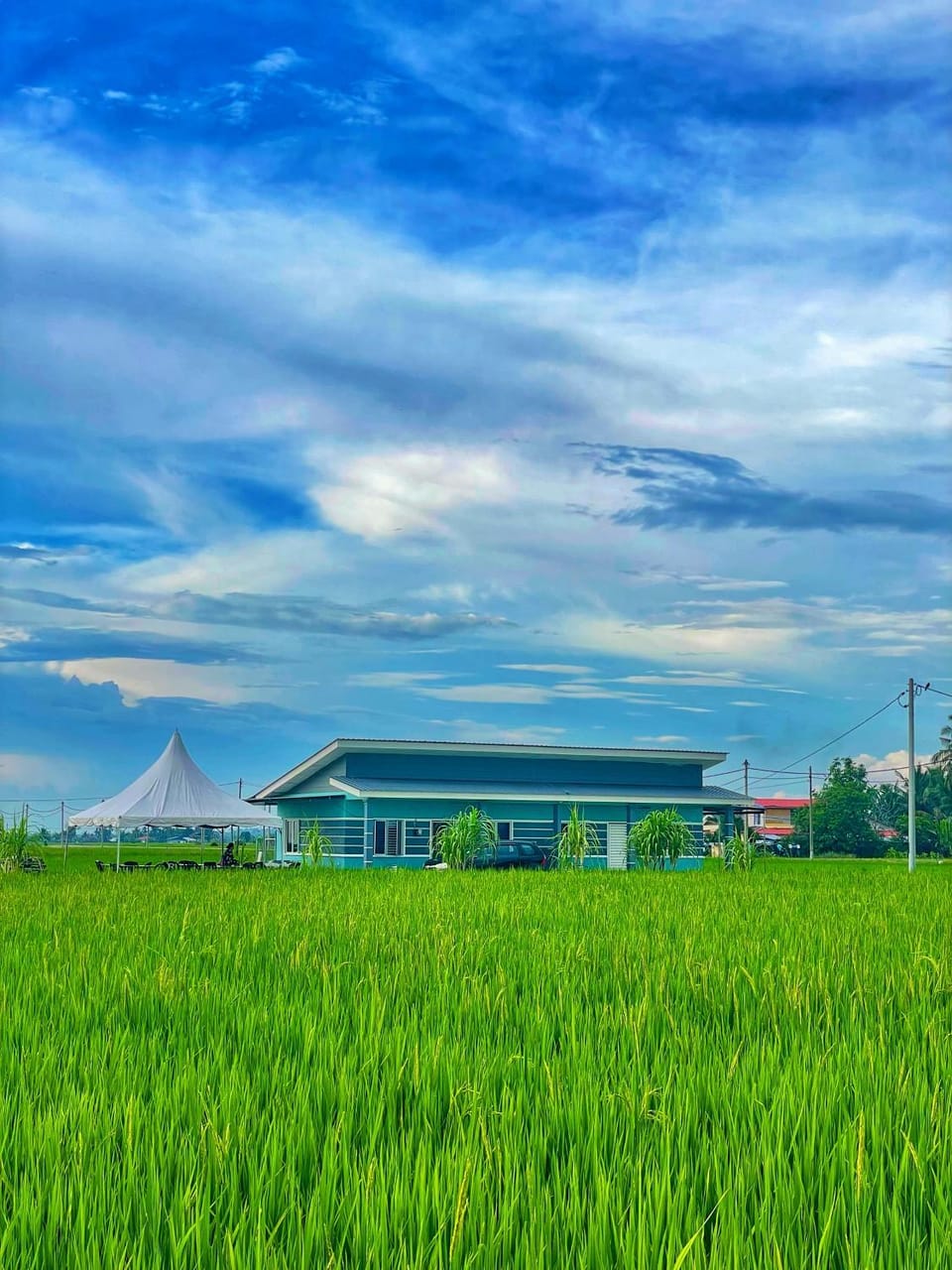 Property building, Spring, Day, Natural landscape, Garden